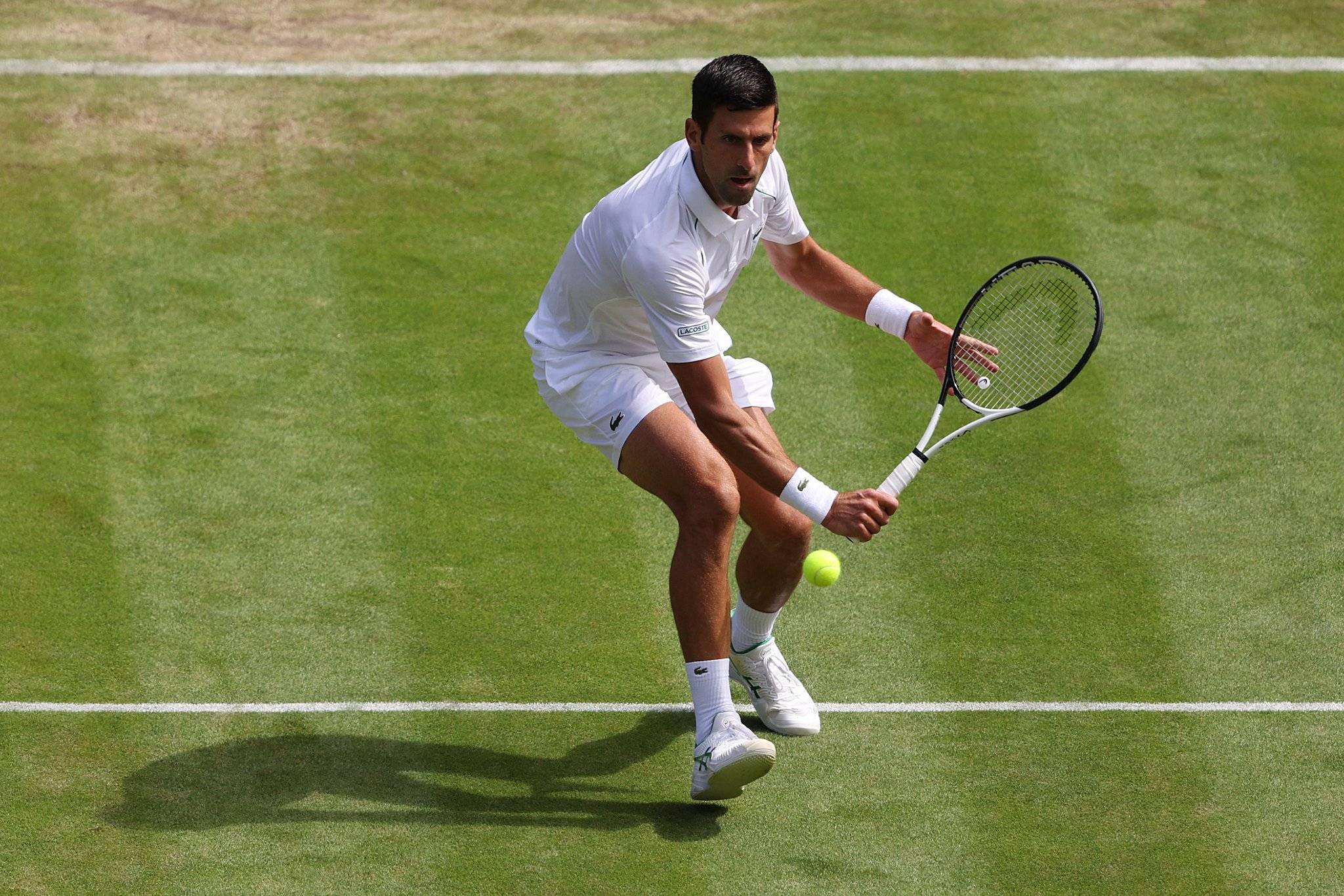 开云-德约科维奇24个大满贯明细